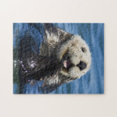 California Sea Otter Enhydra lutris grooms Legpuzzel (Horizontaal)