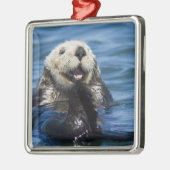 California Sea Otter Enhydra lutris grooms Metalen Ornament (Links)