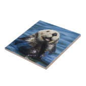 California Sea Otter Enhydra lutris grooms Tegeltje (Zijkant)
