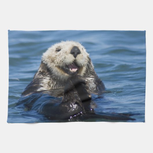 California Sea Otter Enhydra lutris grooms Theedoek (Horizontaal)