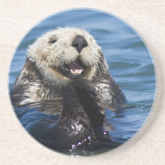California Sea Otter Enhydra lutris grooms Zandsteen Onderzetter (Voorkant)