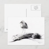 California Seagull 2012 Briefkaart (Voorkant / Achterkant)