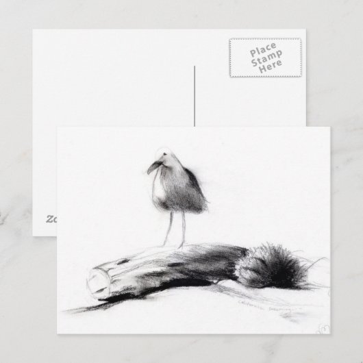 California Seagull 2012 Briefkaart (Voorkant / Achterkant)