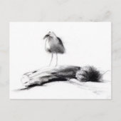 California Seagull 2012 Briefkaart (Voorkant)