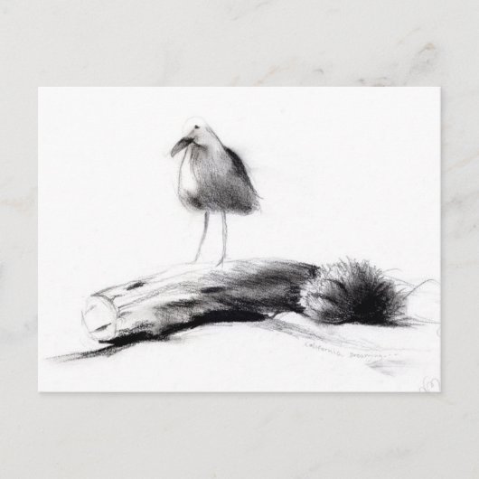 California Seagull 2012 Briefkaart (Voorkant)