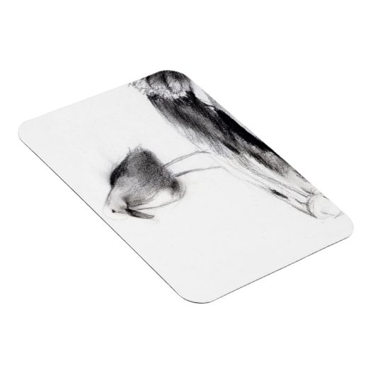 California Seagull 2012 Magneet (Rechterzijde)