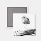 California Seagull 2012 Magneet (Voorkant / Achterkant)