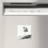 California Seagull 2012 Magneet (Insitu (Vaatwasser))