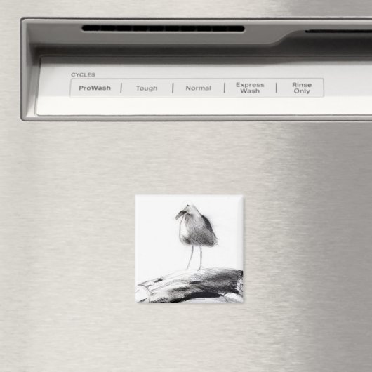 California Seagull 2012 Magneet (Insitu (Vaatwasser))