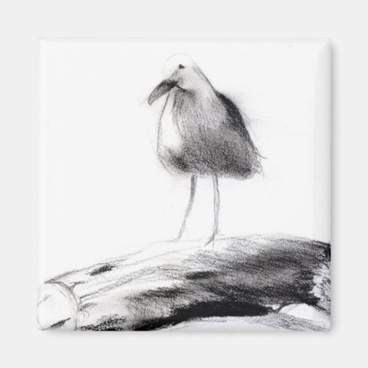 California Seagull 2012 Magneet (Voorkant)