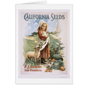 California Seeds