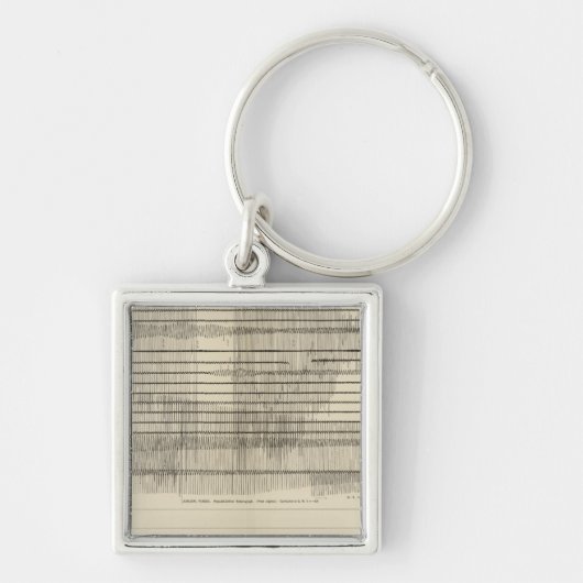 California Seismogrammen 10 Sleutelhanger (Voorkant)