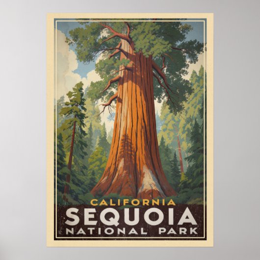 California Sequoia National Park V01 Poster (Voorkant)