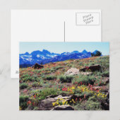 California, Sierra Nevada Mountains 1 Briefkaart (Voorkant / Achterkant)