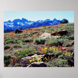 California, Sierra Nevada Mountains 1 Poster