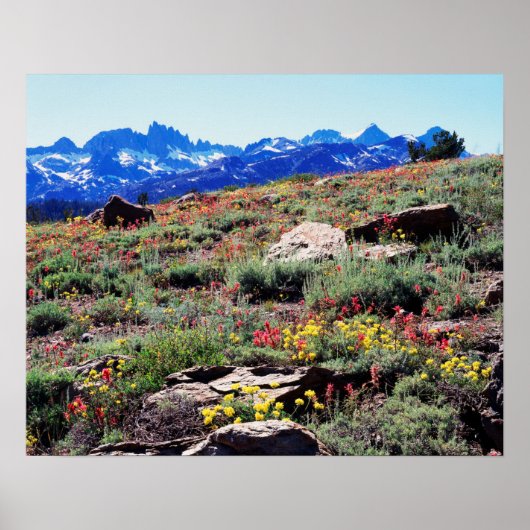 California, Sierra Nevada Mountains 1 Poster (Voorkant)