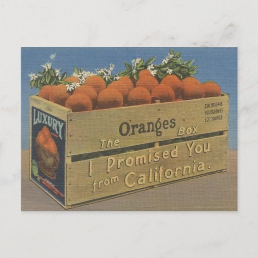  California Sinaasappels Post Card Briefkaart (Voorkant)