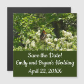 California Sister Butterfly in Yosemite (Voorkant / Achterkant)