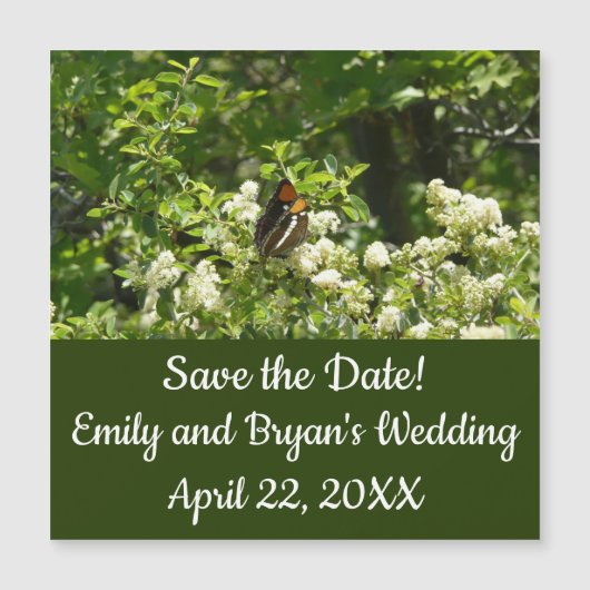 California Sister Butterfly in Yosemite (Voorkant)