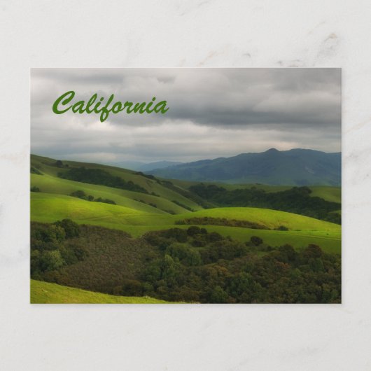 California Spring Panorama Briefkaart (Voorkant)