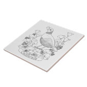 California State Bird and Flower Coloring Page Tegeltje (Zijkant)