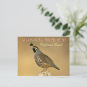 California State Bird - California Quail Briefkaart (Staand voorkant)