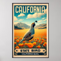 California State Bird - Californische kwartel Vint