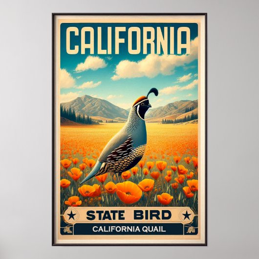 California State Bird - Californische kwartel Vint Poster (Voorkant)