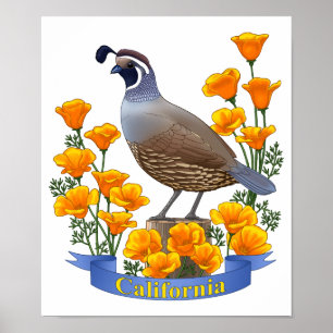 California State Bird Quail & Golden Poppy Poster