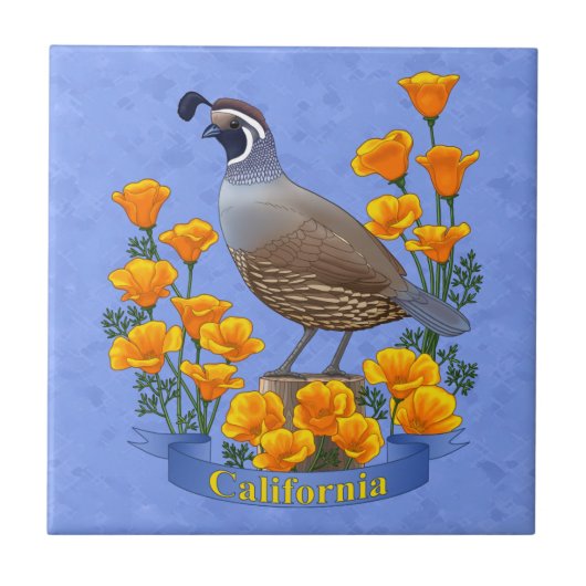 California State Bird Quail & Golden Poppy Tegeltje (Voorkant)