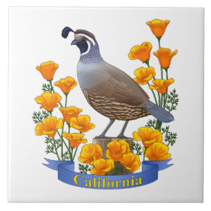 California State Bird Quail & Golden Poppy Tegeltje