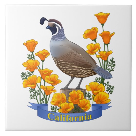 California State Bird Quail & Golden Poppy Tegeltje (Voorkant)