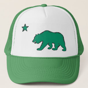 California State flag green beer symbol pet