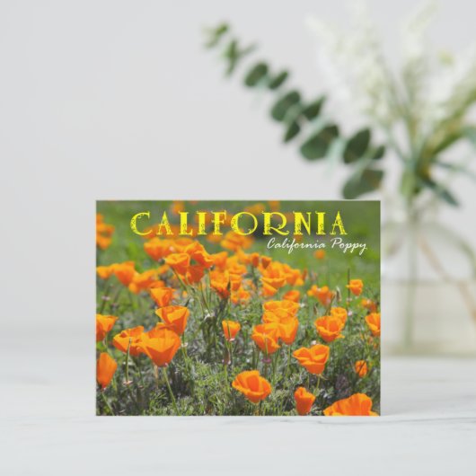 California State Flower: California Poppy Briefkaart (Staand voorkant)