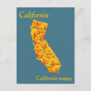 California State Flower Collage Map Briefkaart