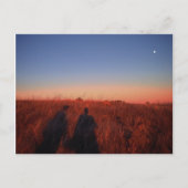 California Sunset Briefkaart (Voorkant)