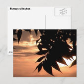 california sunset briefkaart (Voorkant / Achterkant)
