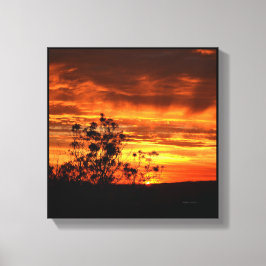 California Sunset Canvas Afdruk