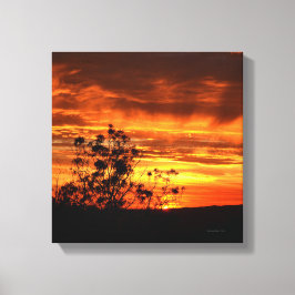 California Sunset Canvas Afdruk