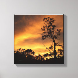 California Sunset Canvas Afdruk