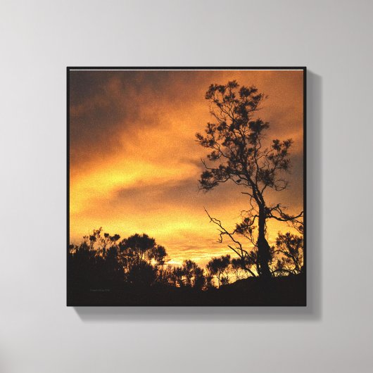 California Sunset Canvas Afdruk (Voorkant)