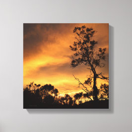 California Sunset Canvas Afdruk