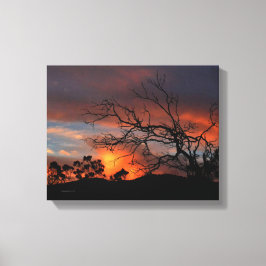 California Sunset Canvas Afdruk