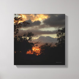California Sunset Canvas Afdruk
