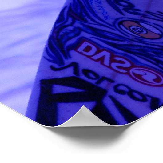 California Surfer Poster (Hoek)