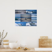 California Surfers Collage Poster (Keuken)