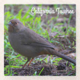 California Towee Glazen Onderzetter