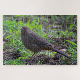California Towee Legpuzzel