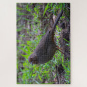 California Towee Legpuzzel (Verticaal)