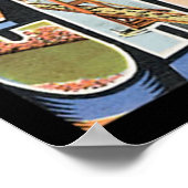  California Travel Poster (Hoek)